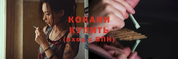 индика Нея