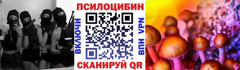 Псилоцибиновые грибы мицелий  Камышин 